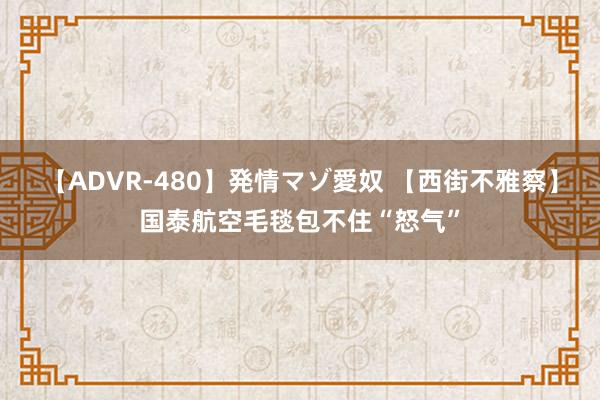 【ADVR-480】発情マゾ愛奴 【西街不雅察】国泰航空毛毯包不住“怒气”