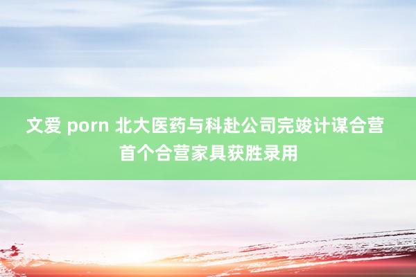 文爱 porn 北大医药与科赴公司完竣计谋合营 首个合营家具获胜录用