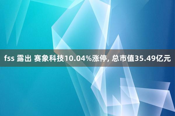fss 露出 赛象科技10.04%涨停， 总市值35.49亿元