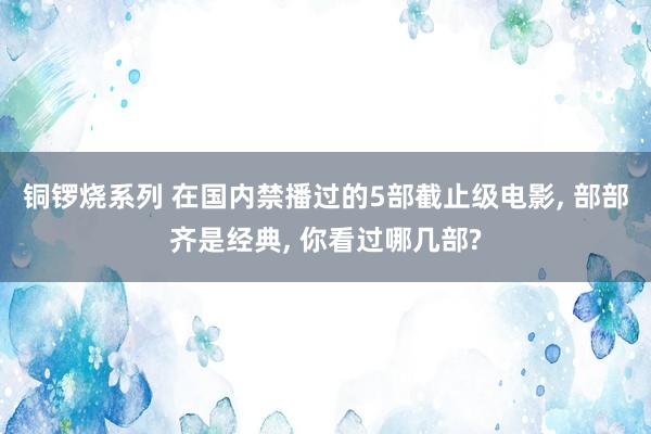 铜锣烧系列 在国内禁播过的5部截止级电影， 部部齐是经典， 你看过哪几部?